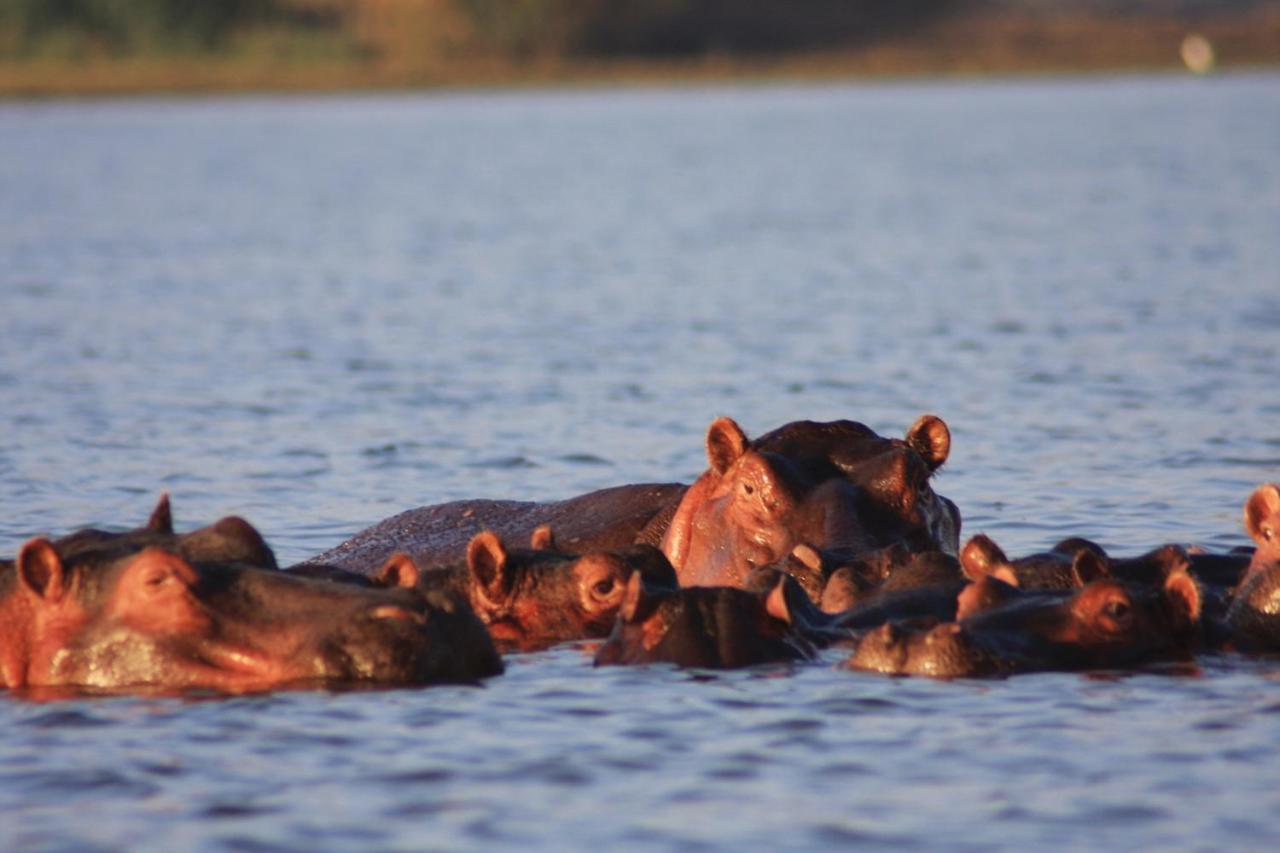 Lake Naivasha Simba Lodge Найробі Екстер'єр фото