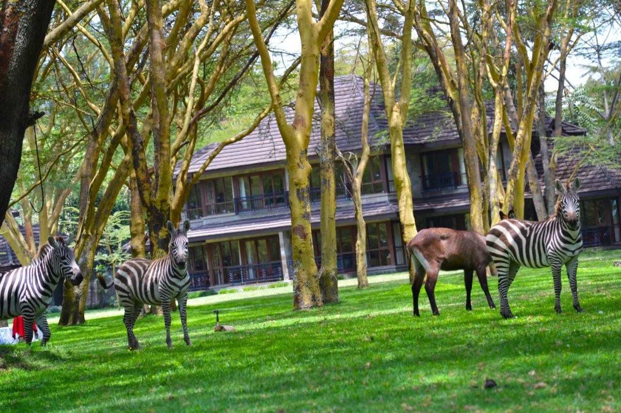 Lake Naivasha Simba Lodge Найробі Екстер'єр фото